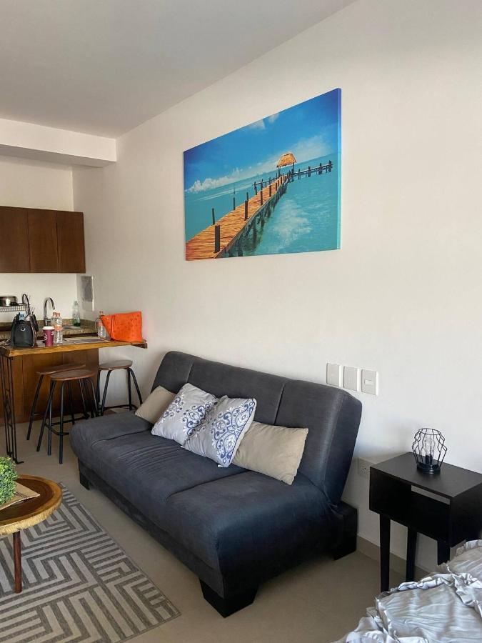 Suites Colibri *